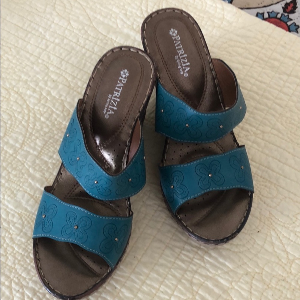 Blue and Brown Wedges